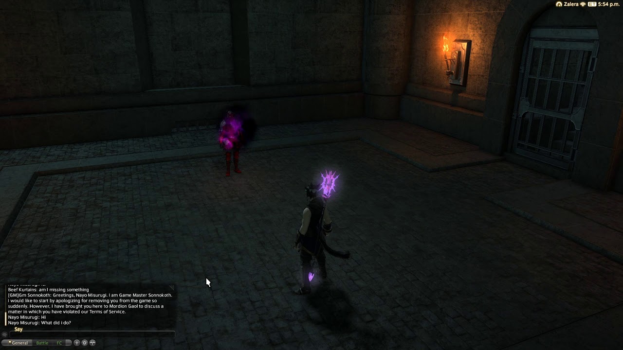 2 players in FFXIV Jail