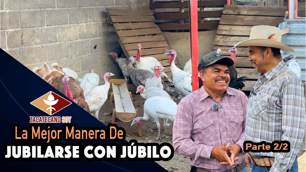 JUBILADO PERO CON MÁS TRABAJO QUE NUNCA ¿Porqué no hacer de todo?