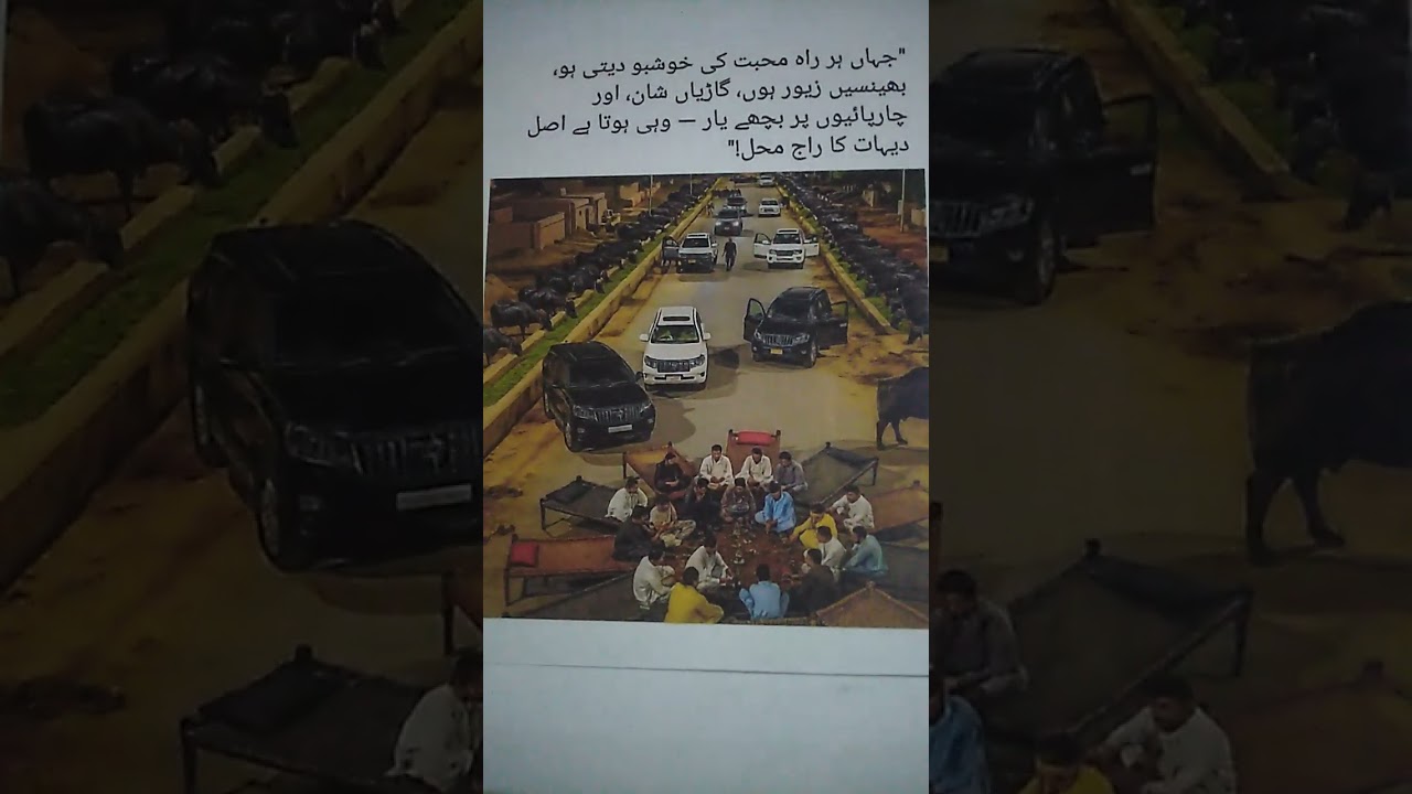 اصل دیہات کا راج محل جہاں بھینسیں زیور اور گاڑیاں محل کی شان ہوتی ہیں۔