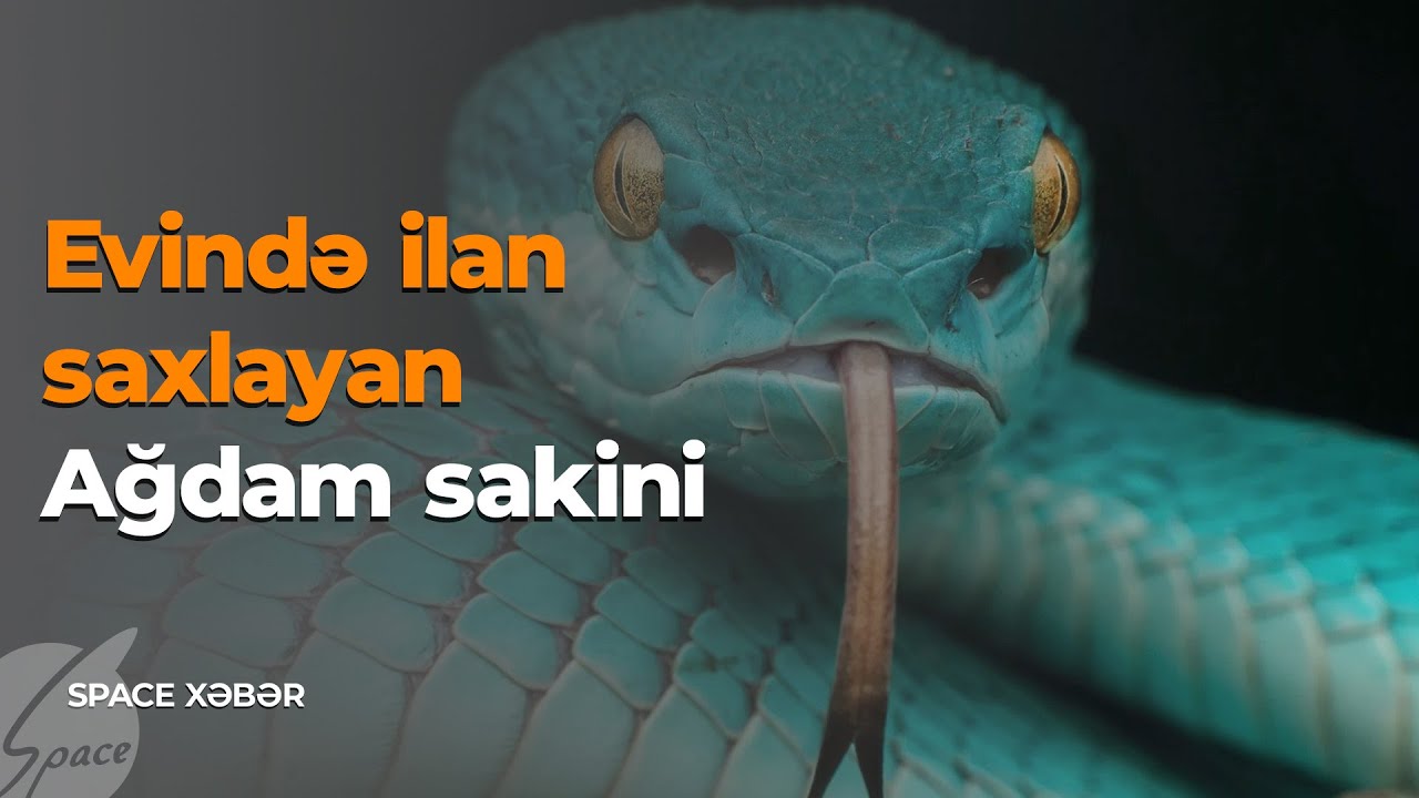 Evində ilan saxlayan Ağdam sakini - Space Xəbər