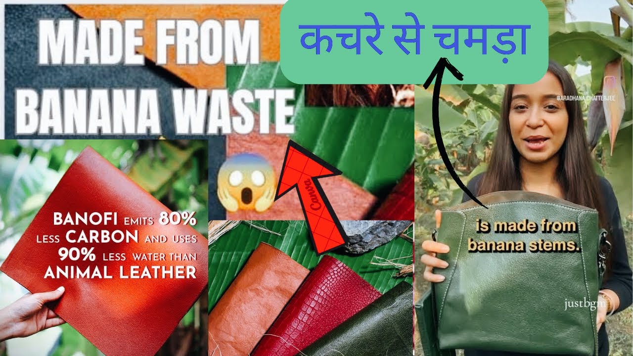 Banofi Leather | पर्यावरण के लिए क्रांतिकारी समाधान @ChewOnSoch In Hindi