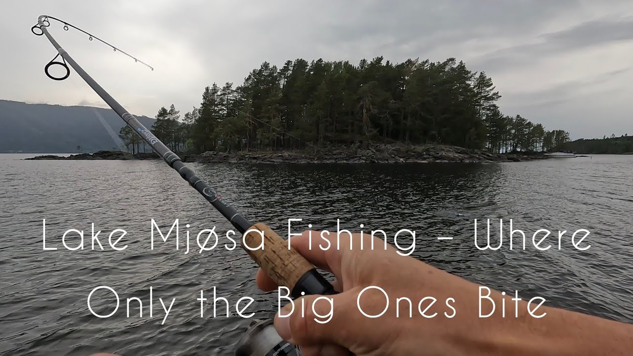 No Small Fish in Lake Mjøsa – Only Giants Bite! Angling in Norway!