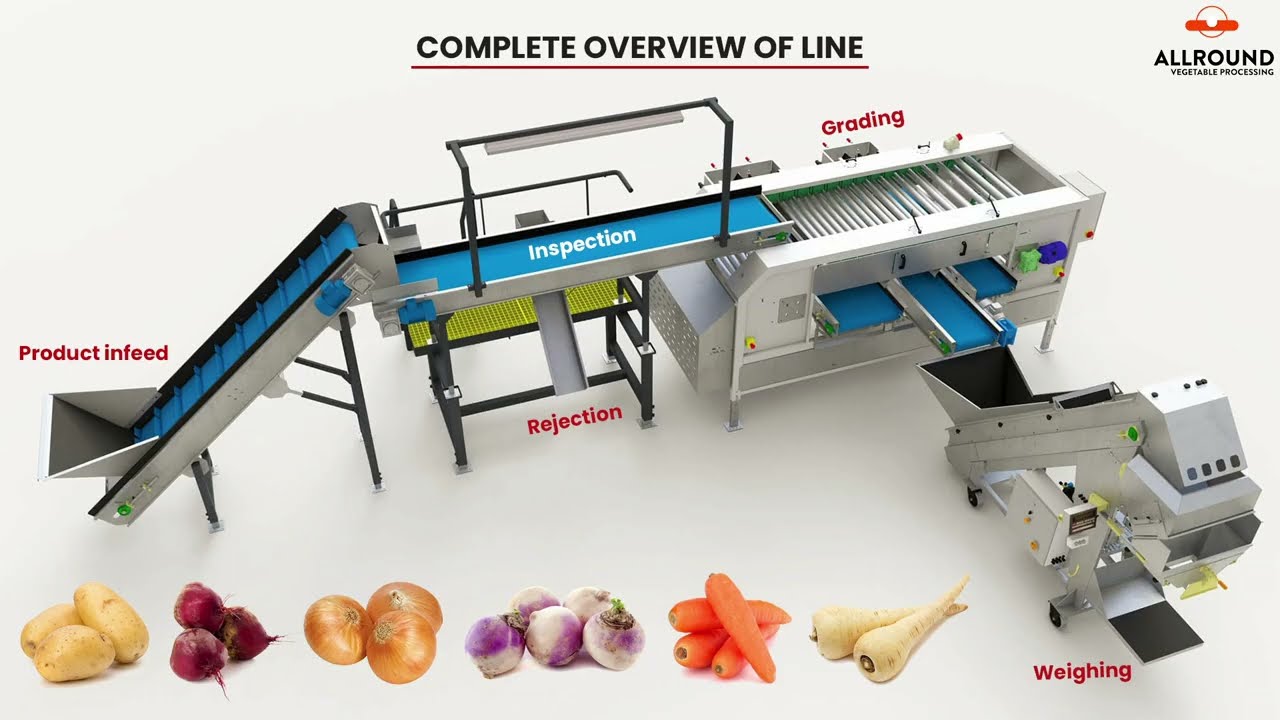 Vegetable Grading | 100 day line for onions, carrots & potatoes | Go&Grow Farm Solutions