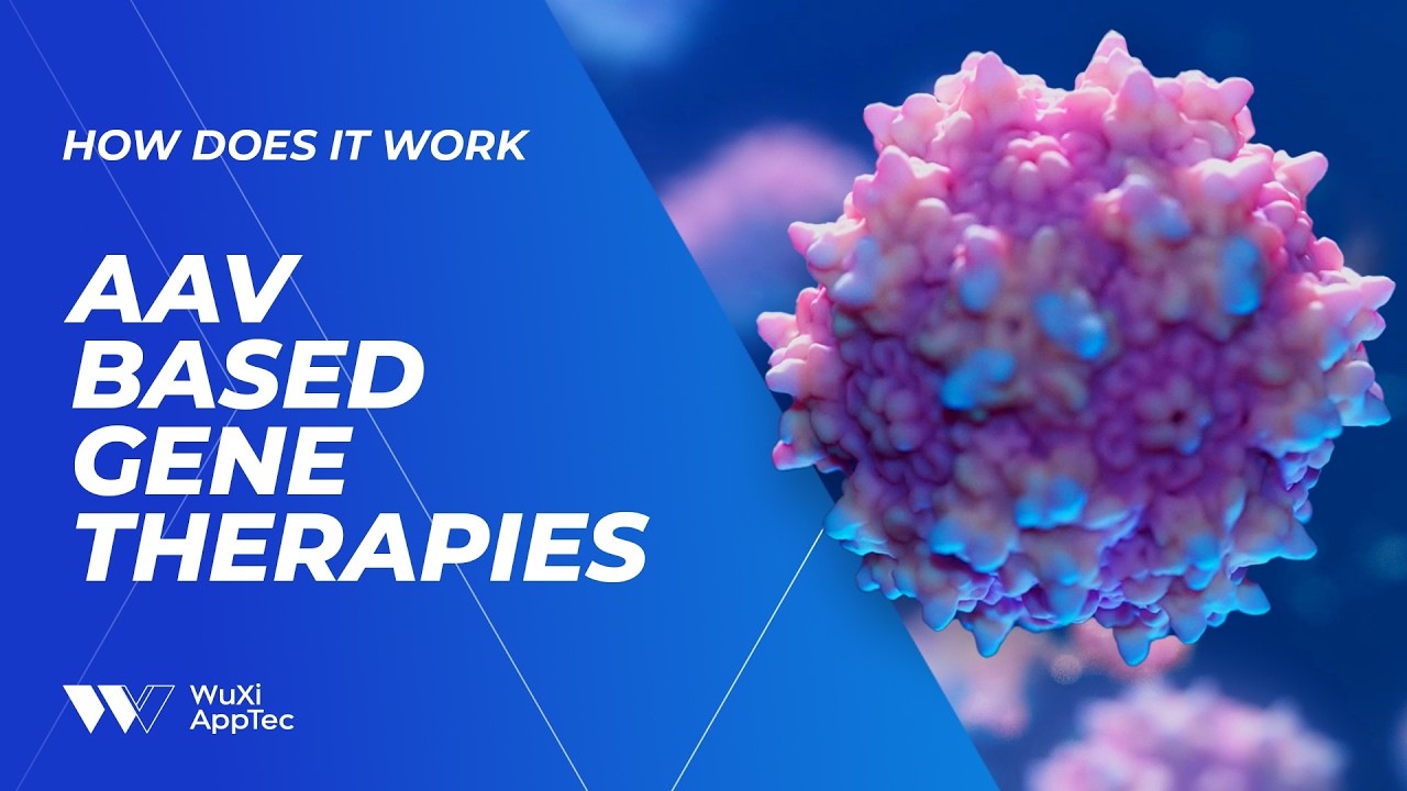 How Does It Work? | AAV Based Gene Therapies