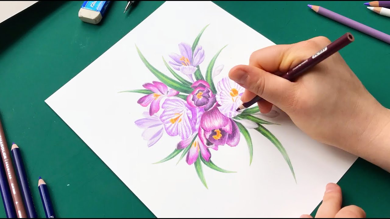 Relaxing, Drawing Timelapse | Purple Crocus Flowers Art