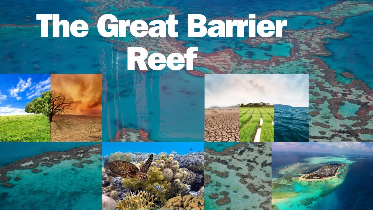 THE GREAT BARRIER REEF /Animation video /SI-FI video/Educational