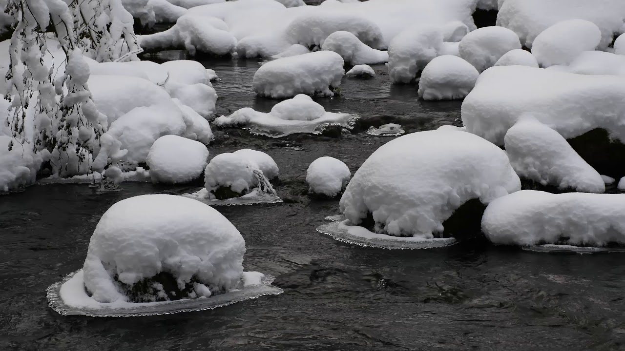 MUURAMENJOKI 5 1 2019