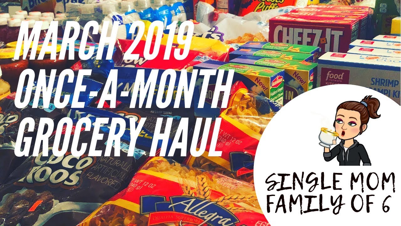 Single Mom Large Family of 6 Grocery Haul