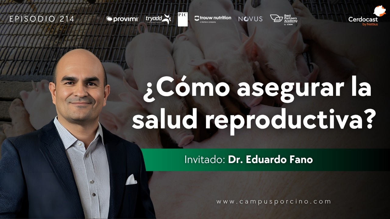 #214 - Inmunidad en hembras primerizas: Clave para la salud reproductiva - Dr. Eduardo Fano