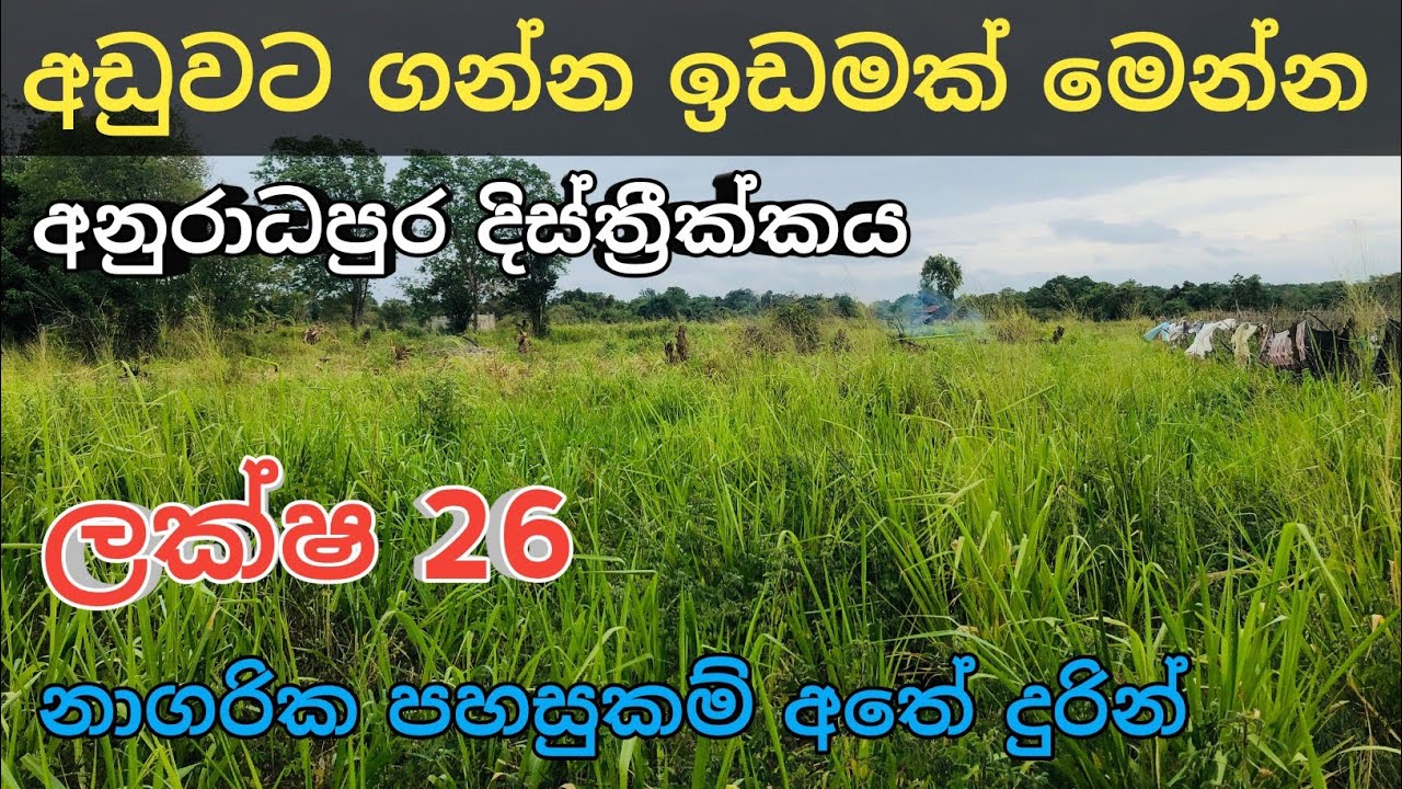 නාගරික පහසුකම් ආසන්නයෙන් අඩුවට ඉඩමක් | Land for Sale | Land Sale In Anuradhapura | Ikman Selling