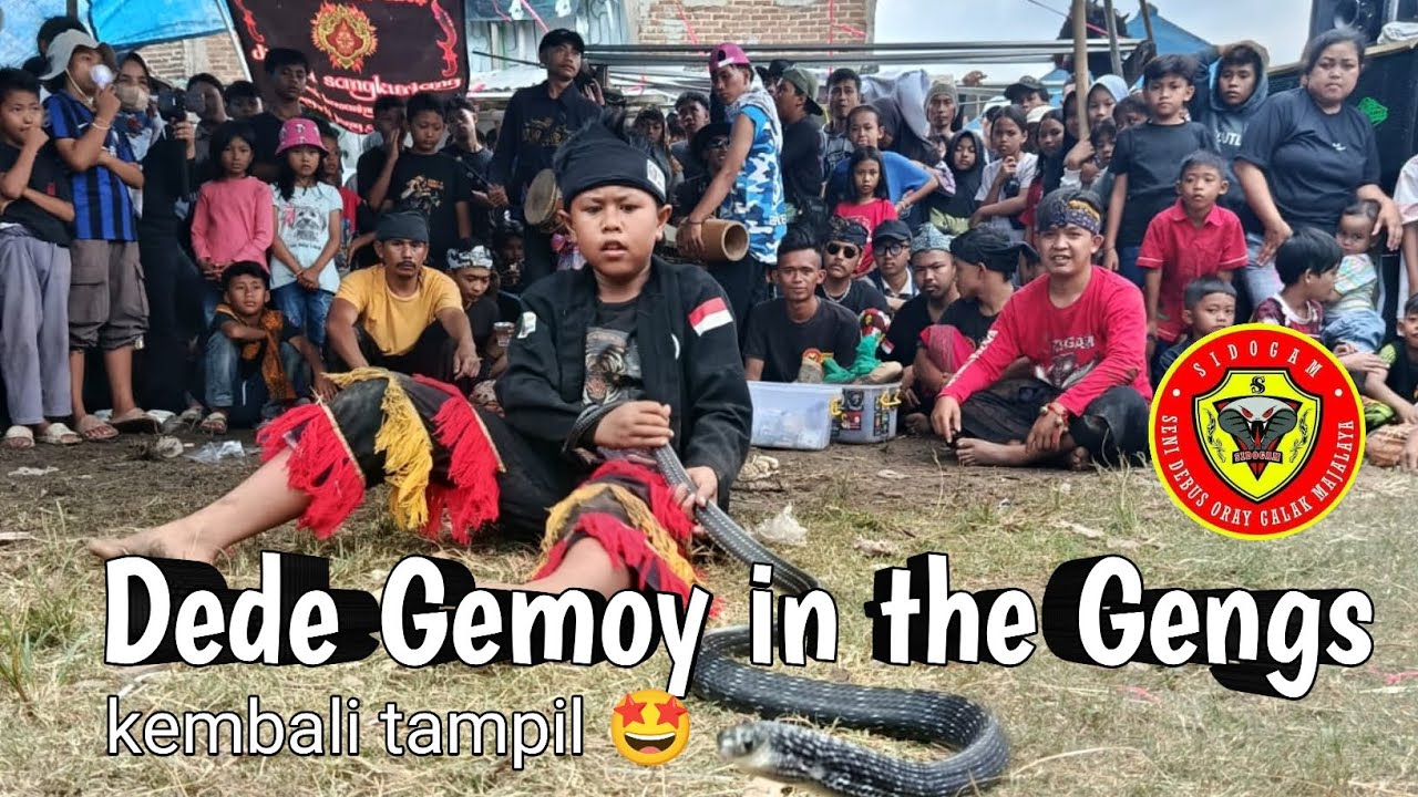 Pawang ular cilik kembali beraksi🔥 #dedeadit #sidogam