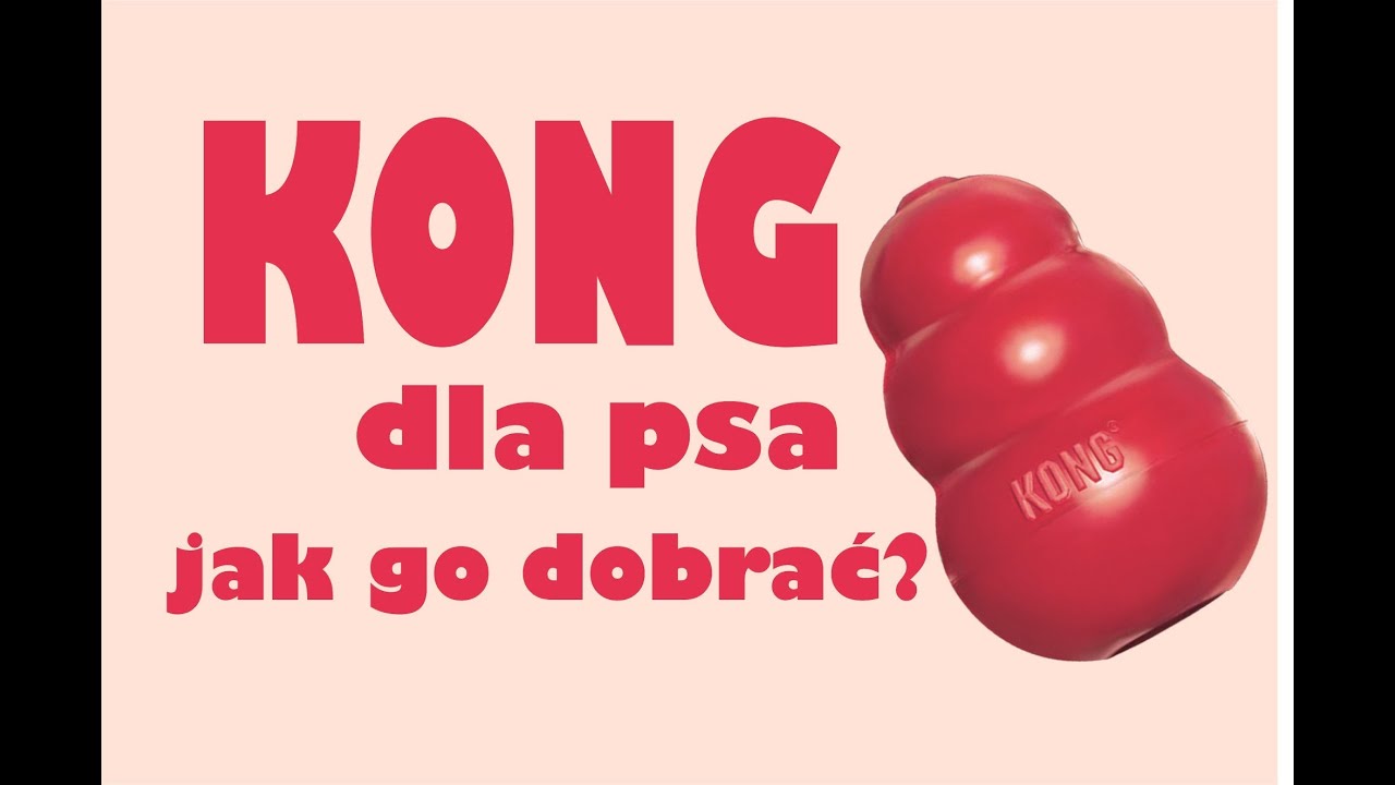 KONG | Wybór rozmiaru, modelu oraz twardości | Idealna zabawka dla psa