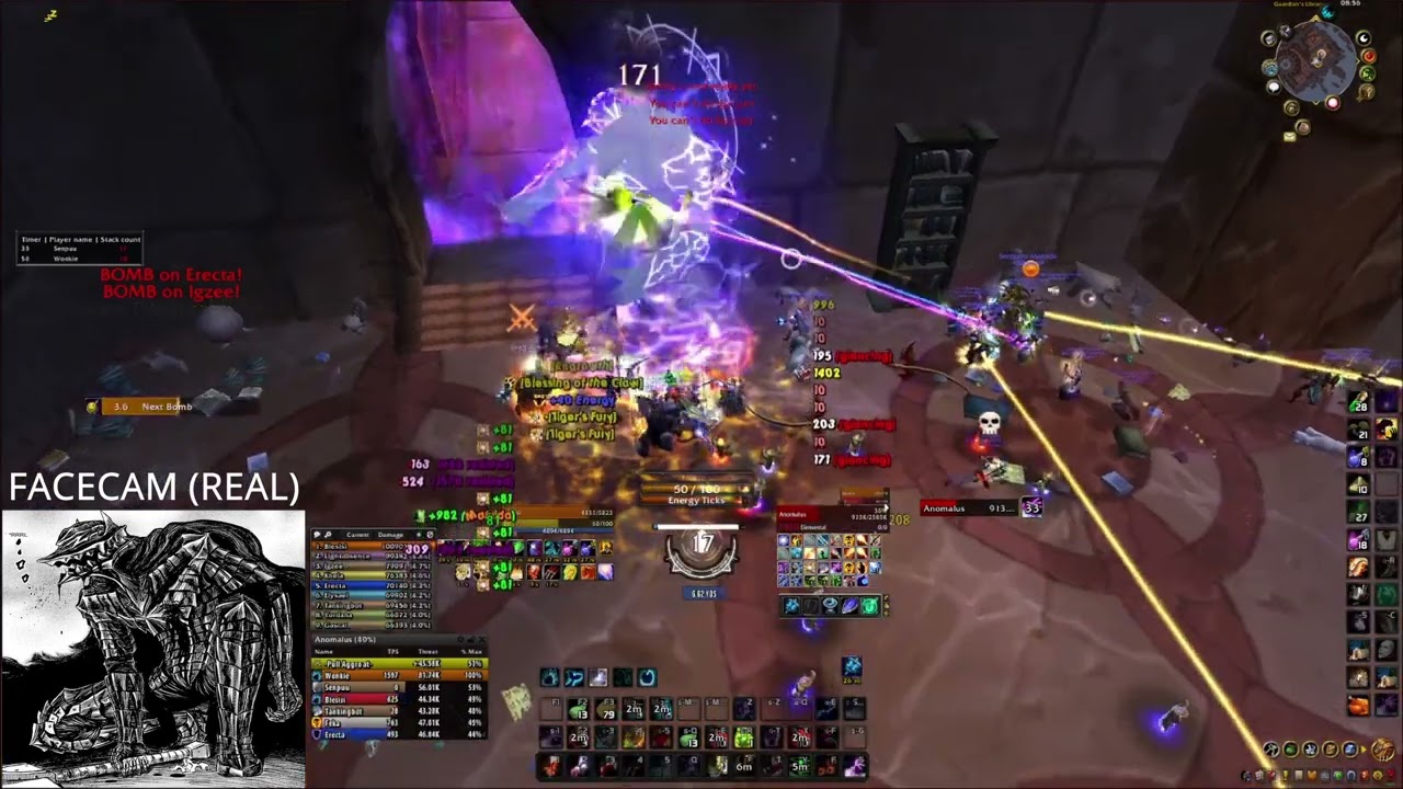 Turtle wow - Kara 40 - Feral druid 1100 DPS Anomalus
