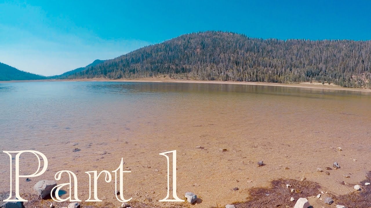 The Road To AZT | Part One