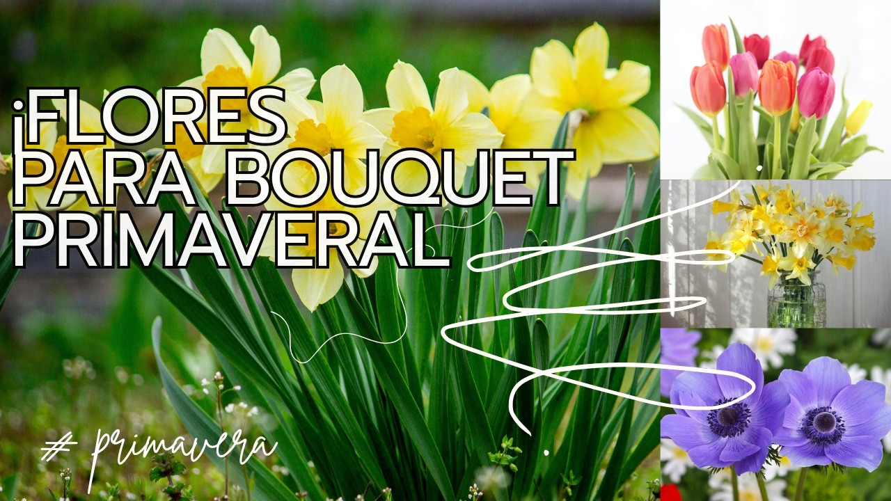 7 FLORES DE PRIMAVERA PARA CREAR UN RAMO PERFECTO para decorar el hogar
