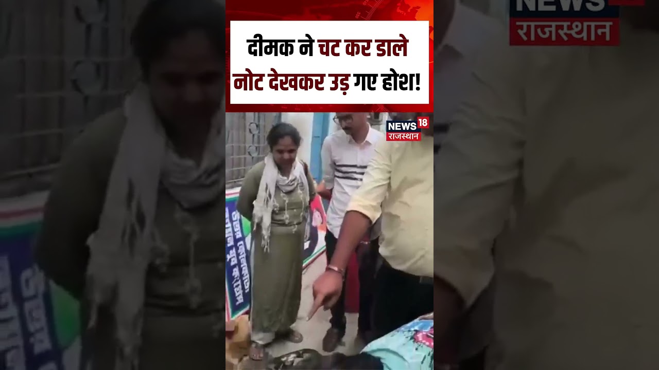 Viral Cash Video : लाखों की नकदी पर दीमक का हमला| N18S | Viral | Cash | Top News | Cash RecoveryNews