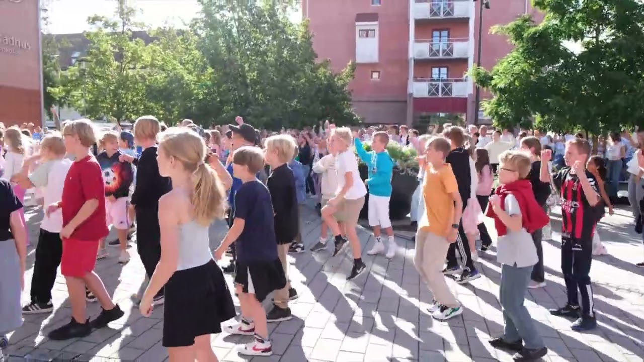 Dansa för livet 2024 - Hagalidskolan & Mellanvången