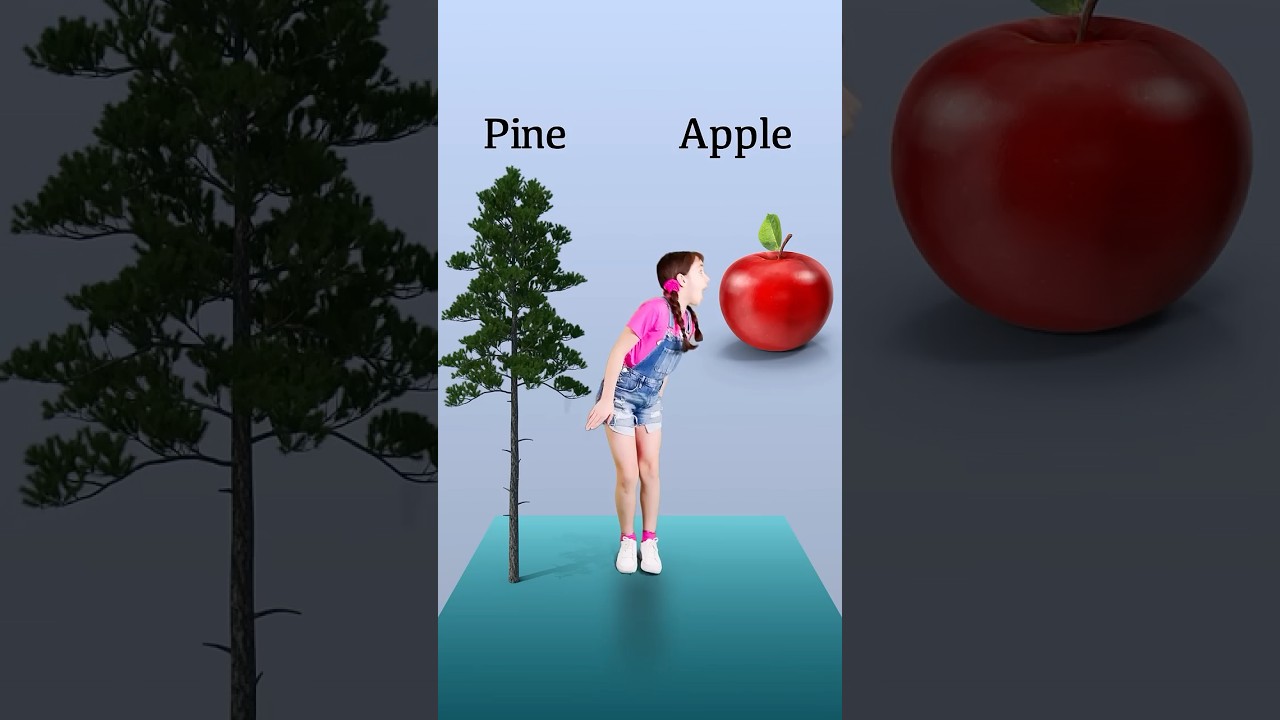 Compound Words | Fun English Learning For Kids | #learnenglishforkids #bonanzakids #kidstv