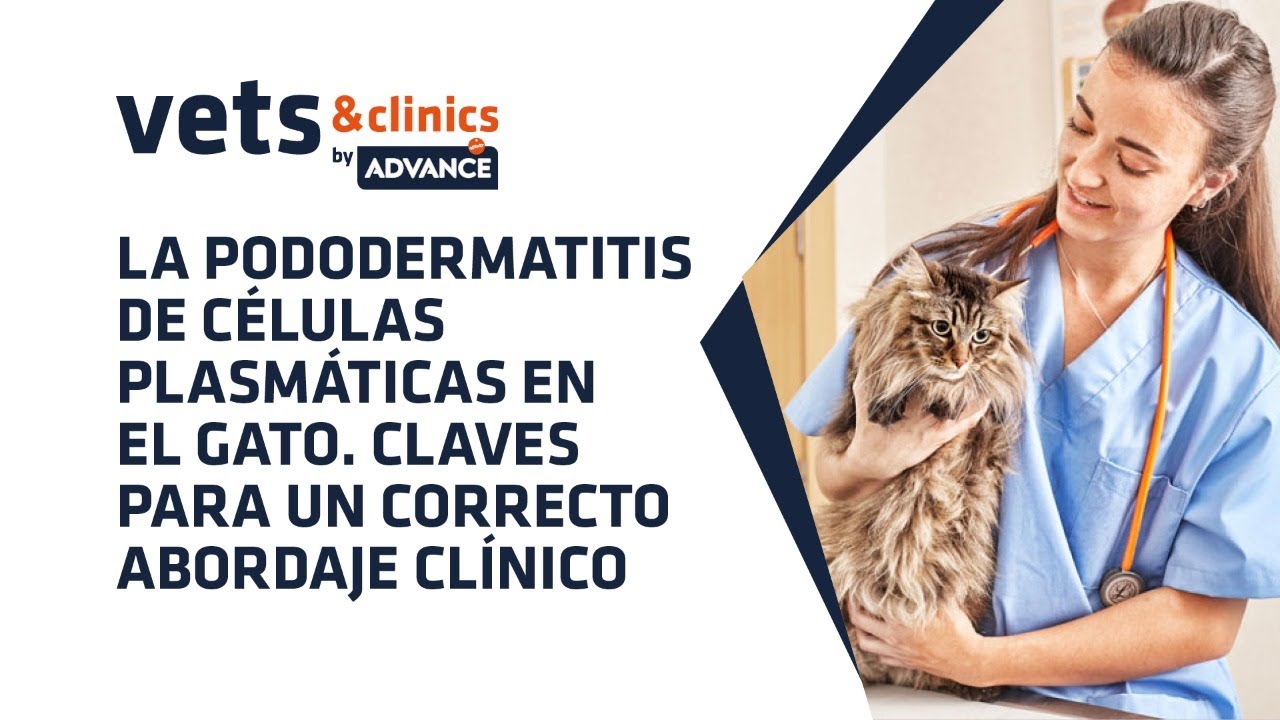 24.ES La pododermatitis de células plasmáticas en el gato: abordaje clínico (Dr. Ramón Almela)