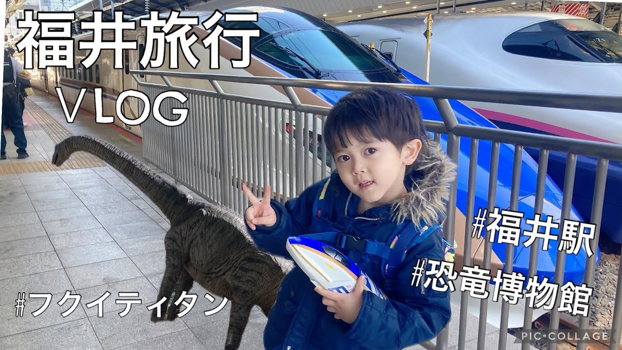【福井Vlog】かがやきに乗って福井恐竜博物館に行ってきたよ🦕（前編）　#福井駅　#かがやき　#福井県立恐竜博物館　#永平寺　＃恐竜博物館
