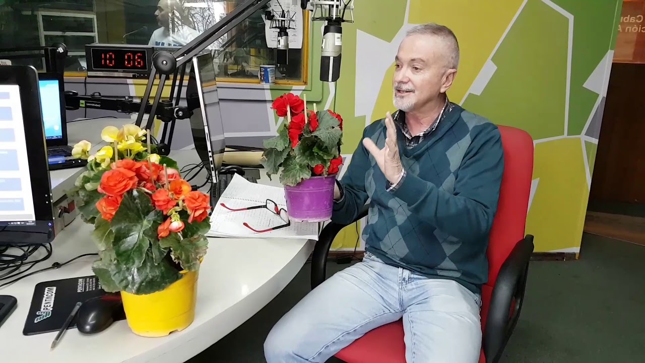 BEGONIA ELIATOR (Viveroterapia de Álvaro Ruiz Moreno -) Programa SUSANA Y AMIGOS con Susana Curto en