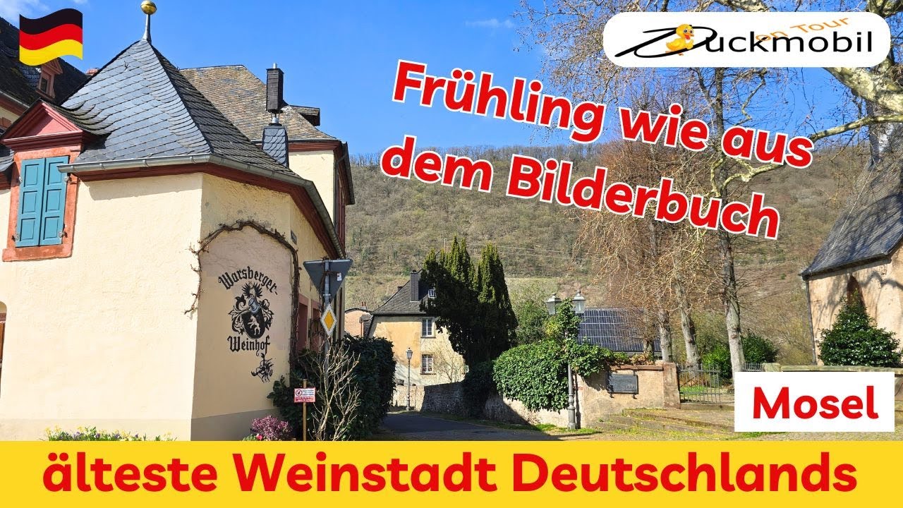 Wochenendtrip Mosel - maritimer Frühling in Neumagen-Drohn - Blütenpracht und Farbenmehr