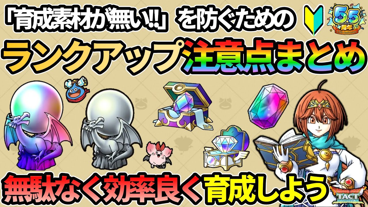 【ドラクエタクト】🔰育成素材を上手に活用するランクアップに関する注意点まとめ【5.5周年版】