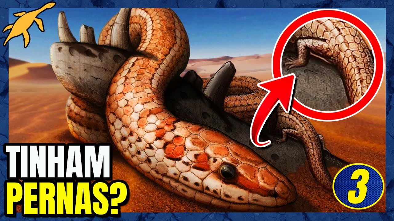 ORIGEM e EVOLUÇÃO das COBRAS