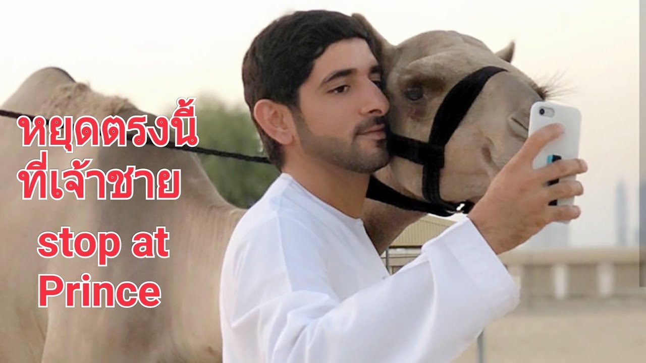 เจ้าชายดูแลและรักสัตว์เลี้ยงของพระองค์เสมอ Prince of Dubai sheikh Hamdan
