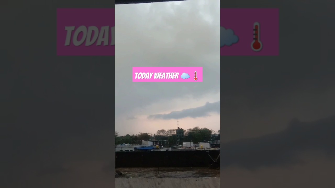 Today Weather In Araria #shorts #viral #tranding #weather #araria