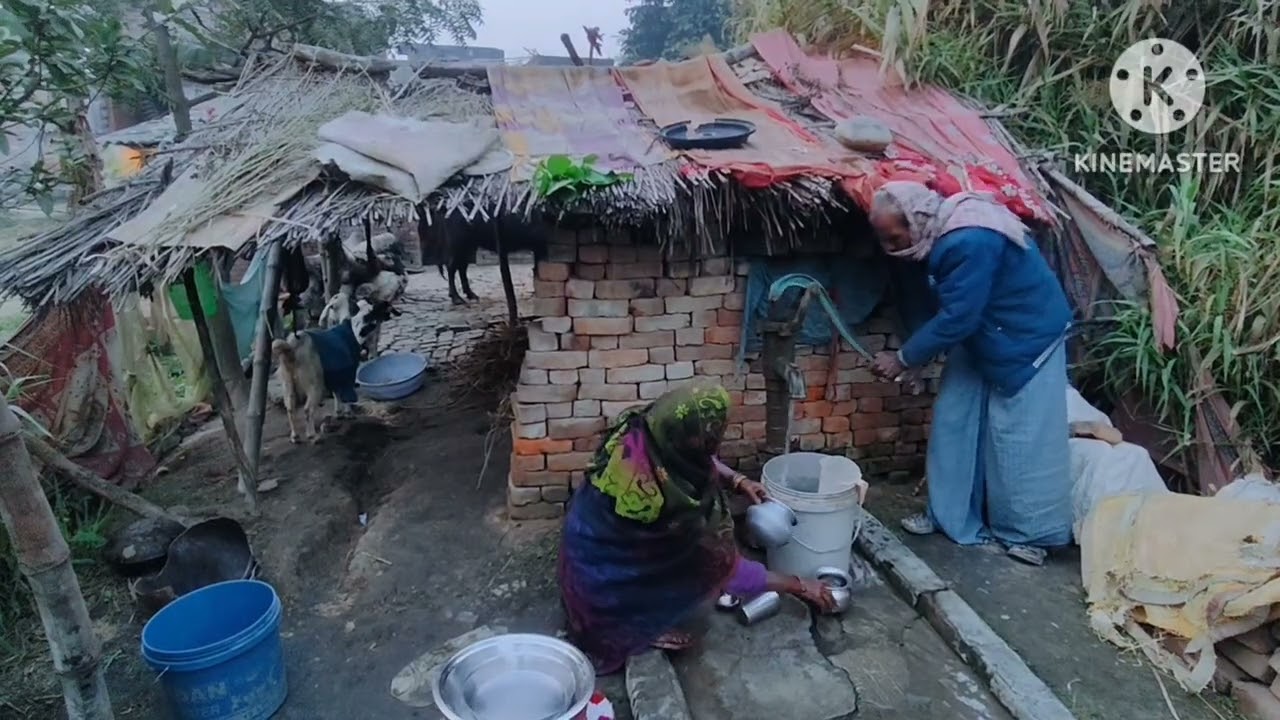 गांव का देसी प्यार: एक दूसरे का साथजिंदगी हो तो ऐसी: सादगी और प्यार#VillageLife#DesiVlog#GaonKiZind