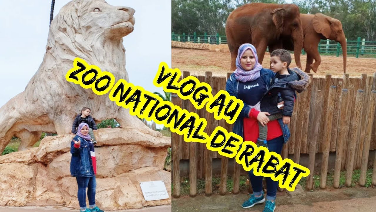 Vlog 2 : AU ZOO NATIONAL DE RABAT | حديقة الحيوانات بالرباط