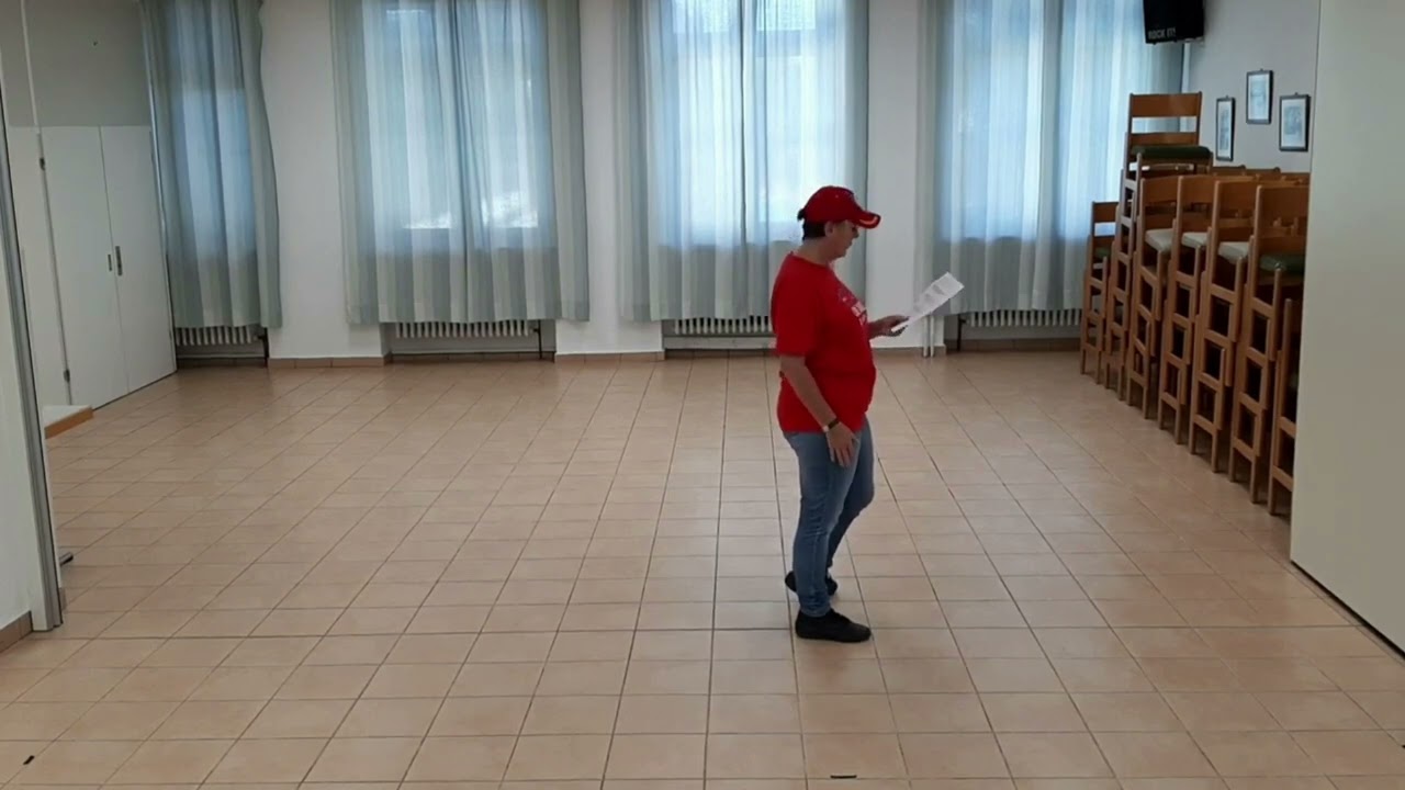 Lucky Dust Lernvideo Teach & Dance Line Dance Biene Teil 1