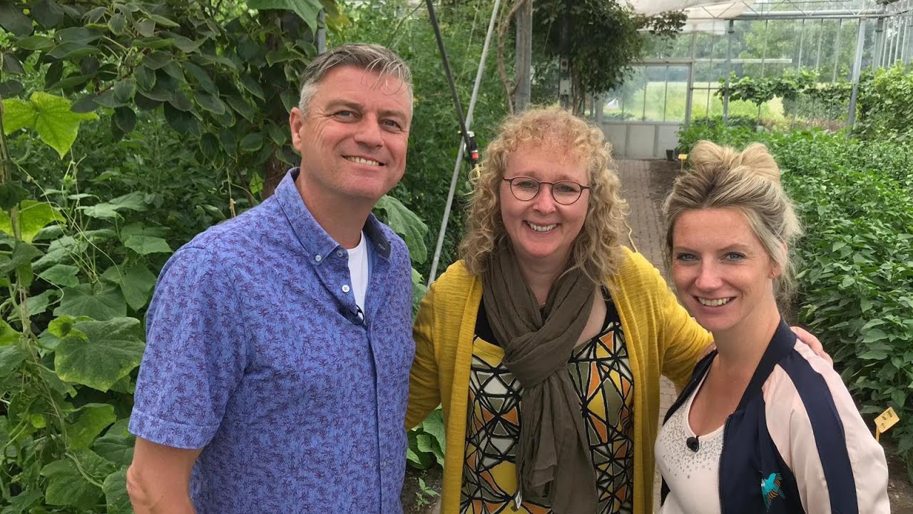 De Boer is Troef 30 oktober 2019 - Zorgboer