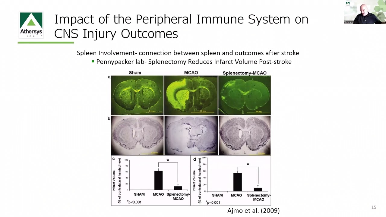 Rebalancing the Immune System: The MultiStem® Cellular Platform for Treating Disease and Injury