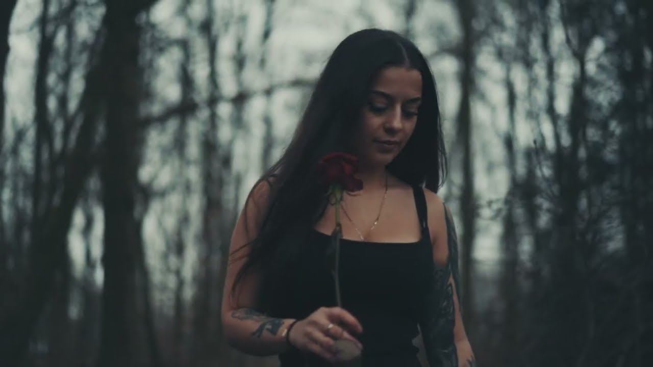33t - Red Rose