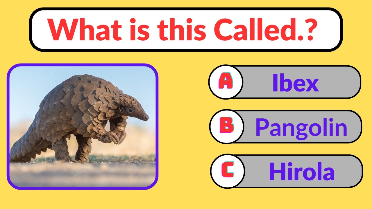 Guess The Name of the Birds🕊️🐦 || Quiz_2026 || Birds Identification Game