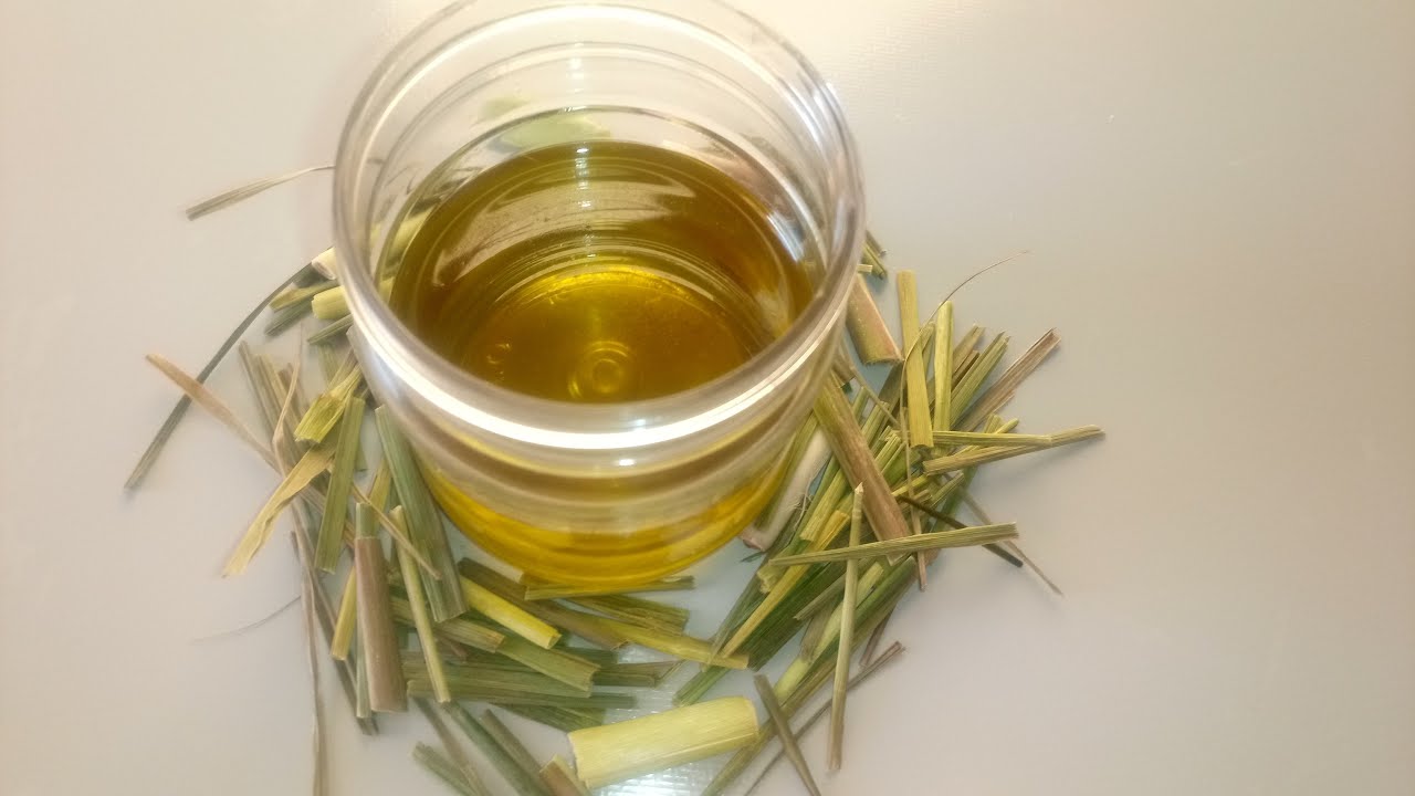 Как приготовить масло лемонграсса дома