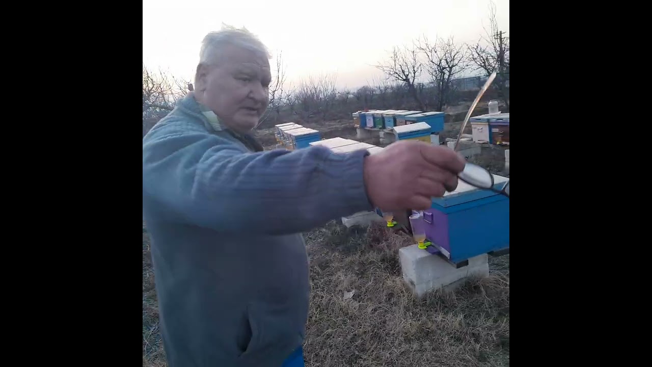 HRĂNIREA FAMILIILOR DE ALBINE, SIMPLU ȘI EFICIENT