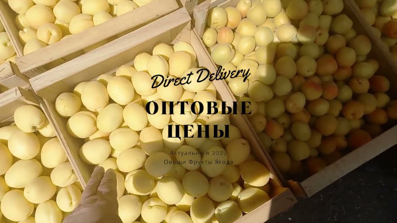 Абрикос оптом Херсон. Великие Копани. Купить и Продать. Direct Delivery