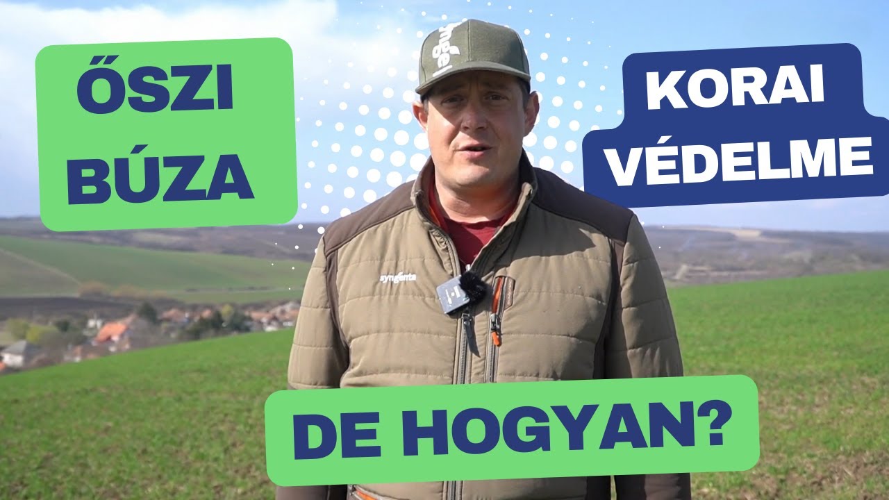 Mire kell figyelni az őszi búza korai védelménél ?
