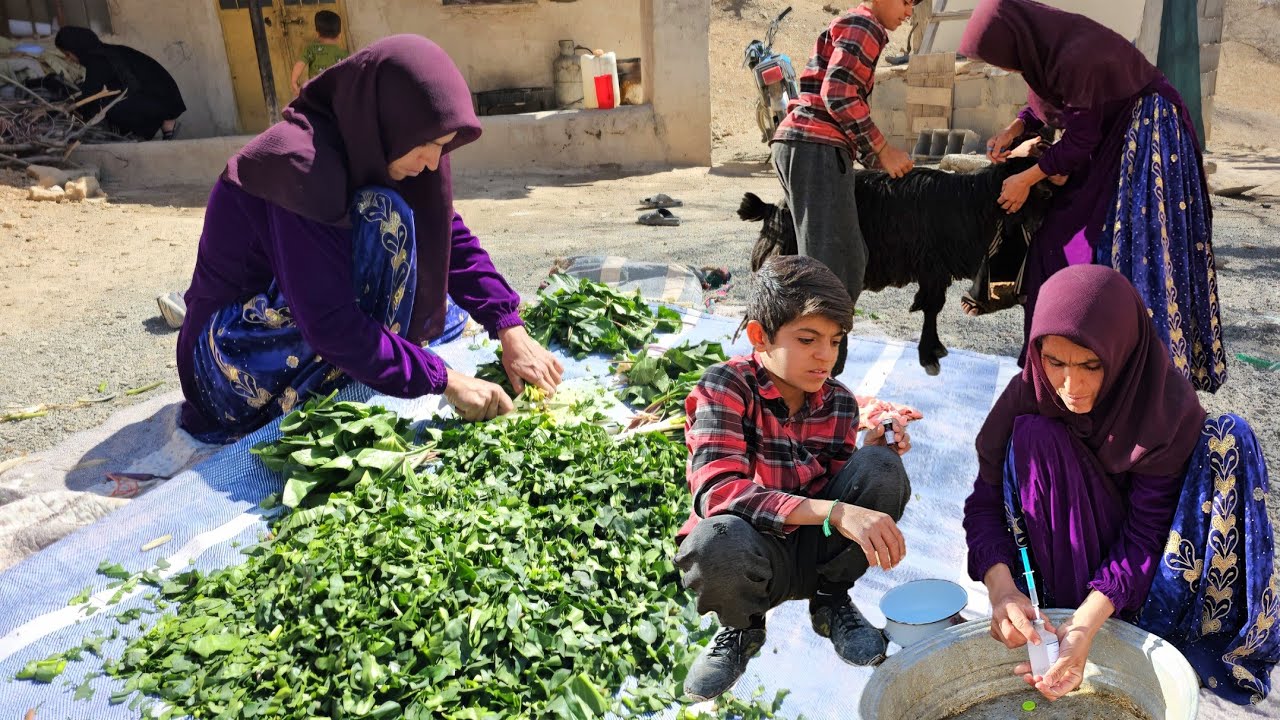 Rural life: Ashraf and his children's struggle for survival, and injecting goats with 💉 injections 🐐