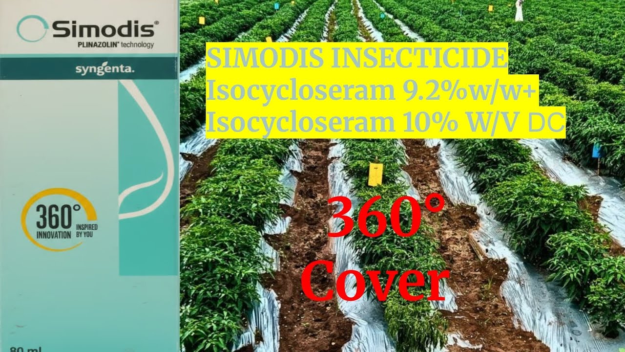 SIMODIS INSECTICIDE SYNGENTA( ISOCYCLOSERAM 9.2%+ISOCYCLOSERAM 10% DC)