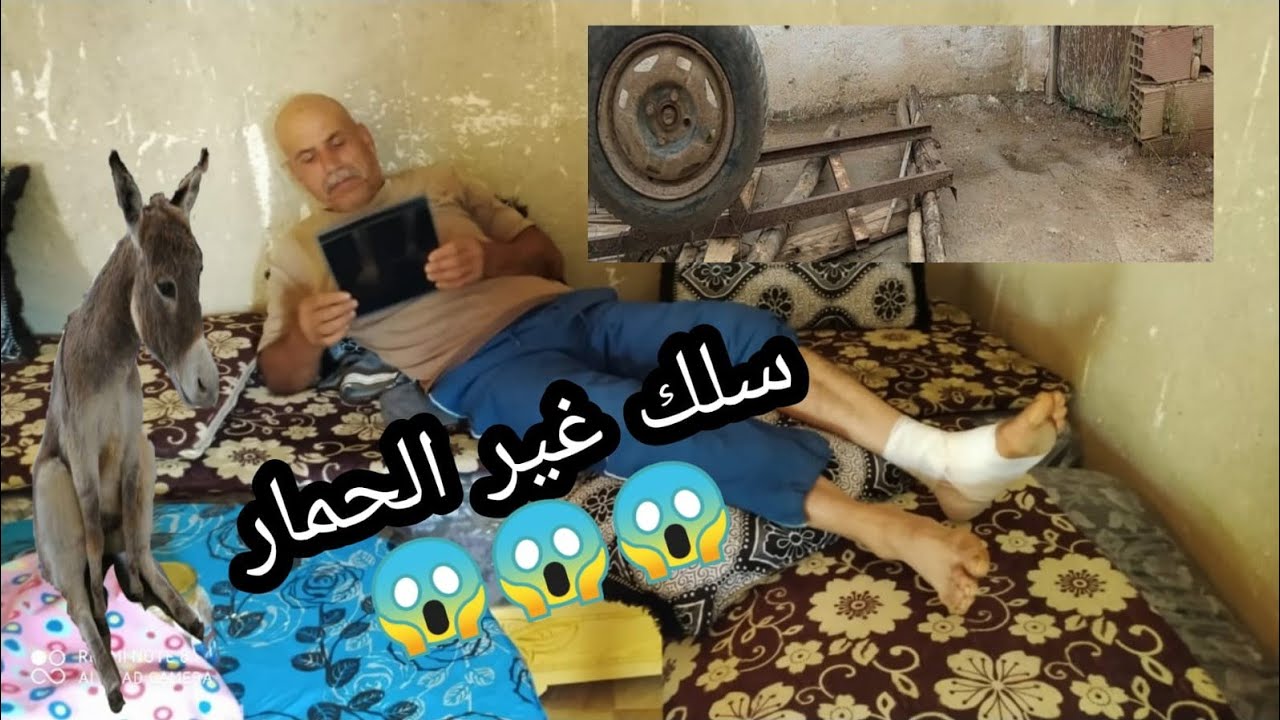 عمي حماد دار حادثة هو والحمار ديالو😱 قريب يمشي فيها سلك غير الحمار😆