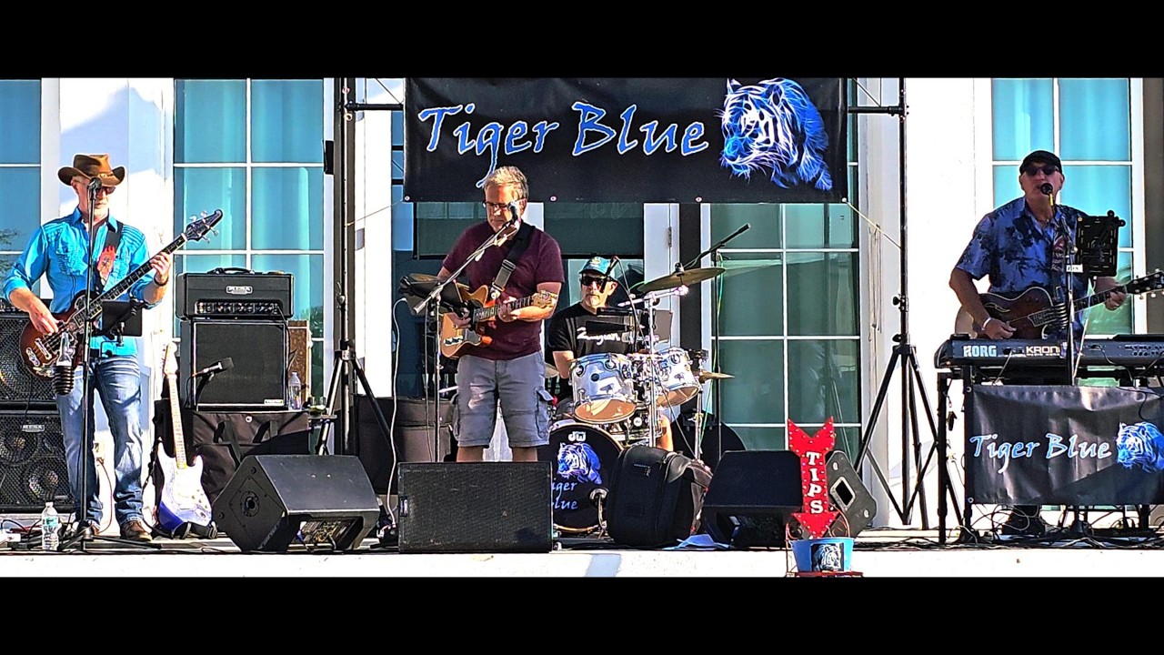 Tiger Blue performing 