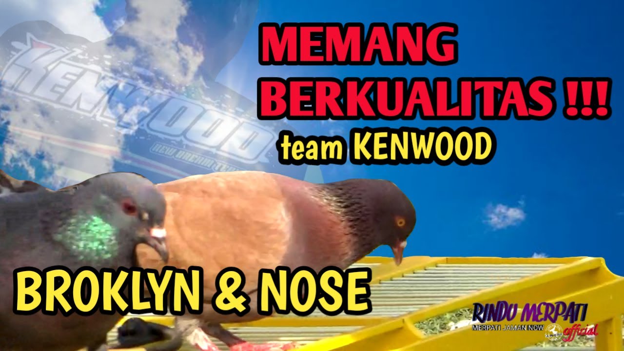WOUWWW !!! BERIKUT AKSI-AKSI BROKLYN DAN NOSE DARI TIM KENWOOD YANG SEMAKIN MANTAP