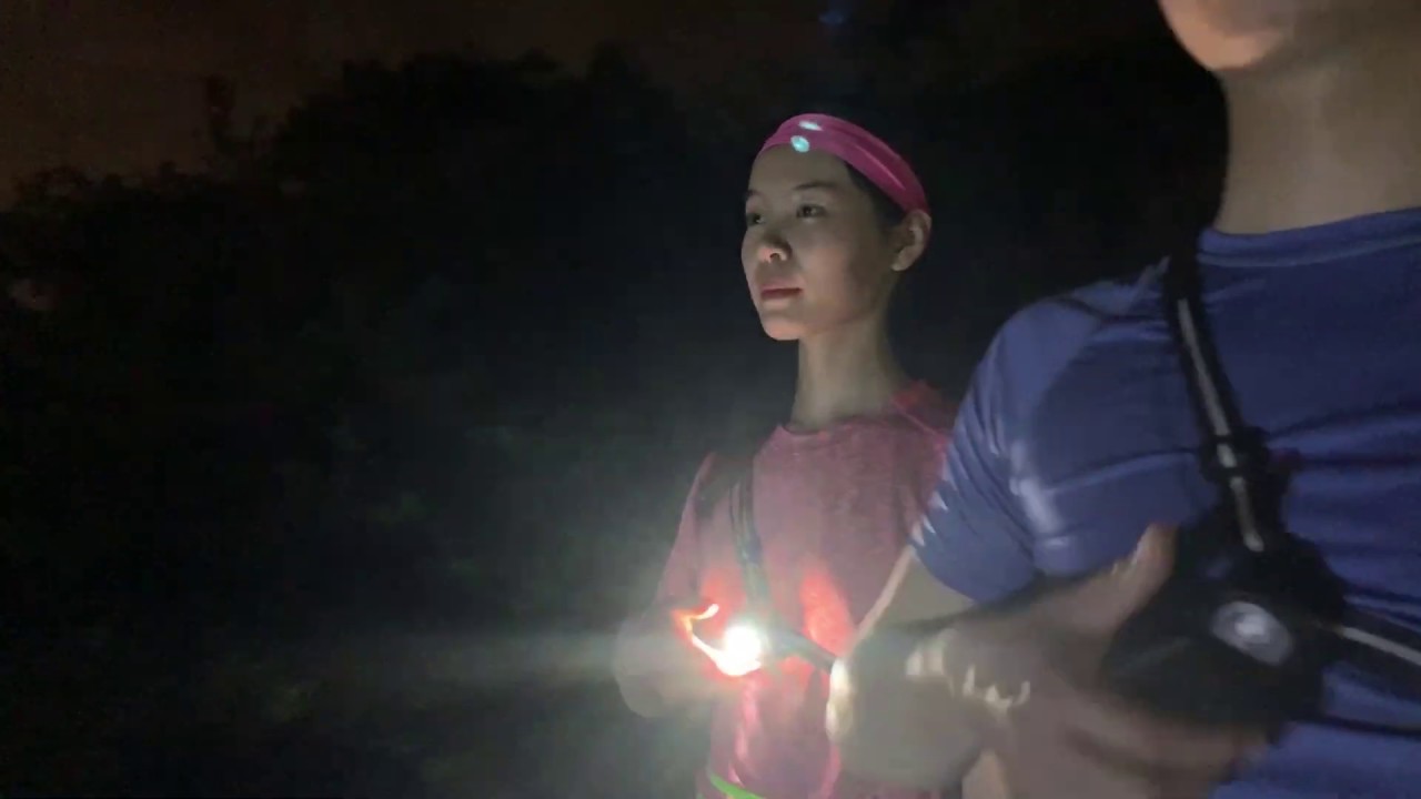 WESTLIGHT Running Chest Light, 90 Degree Adjustable Beam - 0701241