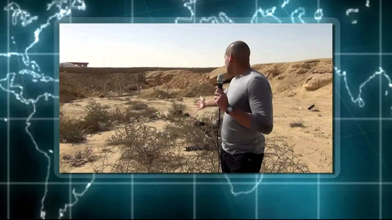 أنا الشاهد: اين تقع الغابة المتحجرة؟