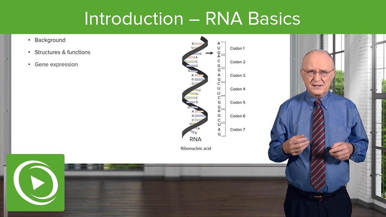 Introduction: RNA Basics – Biochemistry | Lecturio
