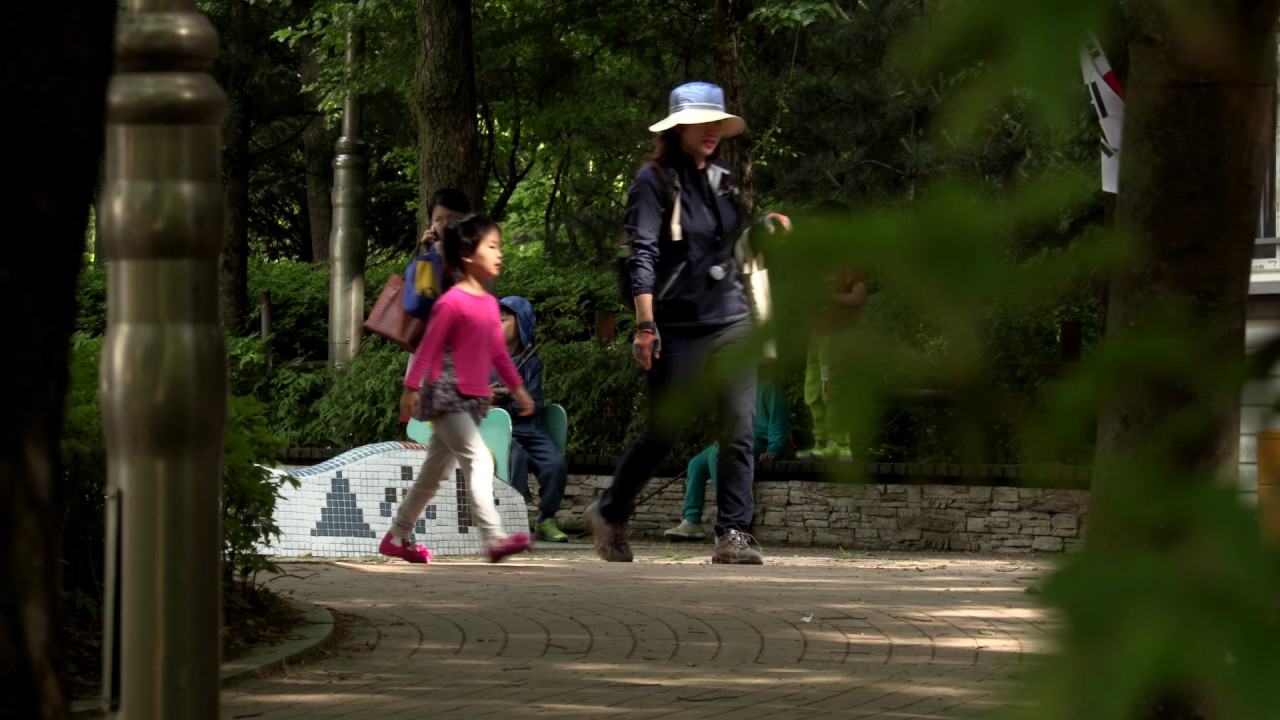 Canon XC10 Full HD Test